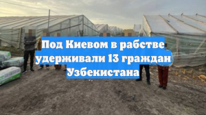Под Киевом в рабстве удерживали 13 граждан Узбекистана