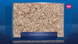 Всемирный день риса. Календарь Губернии от 20 сентября
