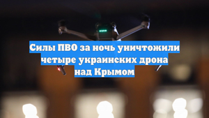 Силы ПВО за ночь уничтожили четыре украинских дрона над Крымом