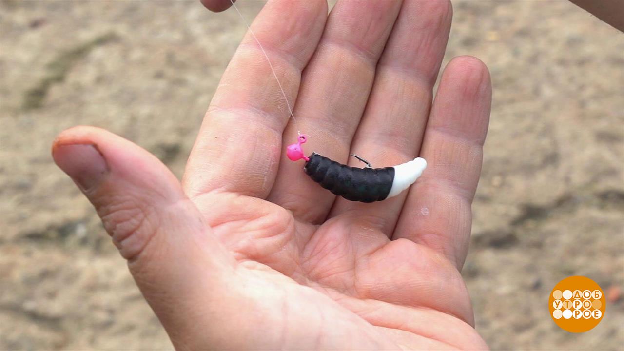 Про окуня и микроджиггинг. Доброе утро. Фрагмент выпуска от 19.09.2025