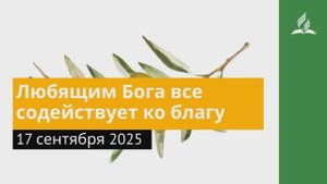 17 сентября 2025. Любящим Бога все содействует ко благу. Под сенью благодати