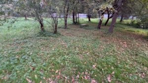 ЗУ Химки, Лениградское ш.5