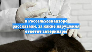 В Россельхознадзоре рассказали, за какие нарушения ответят ветеринары