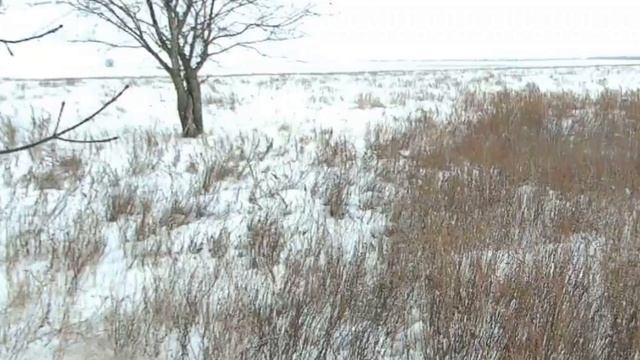 Охота на зайцев Ещё один ушастый смотреть онлайн