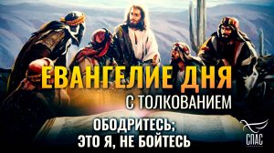 «Ободритесь; это Я, не бойтесь.» / ЕВАНГЕЛИЕ ДНЯ