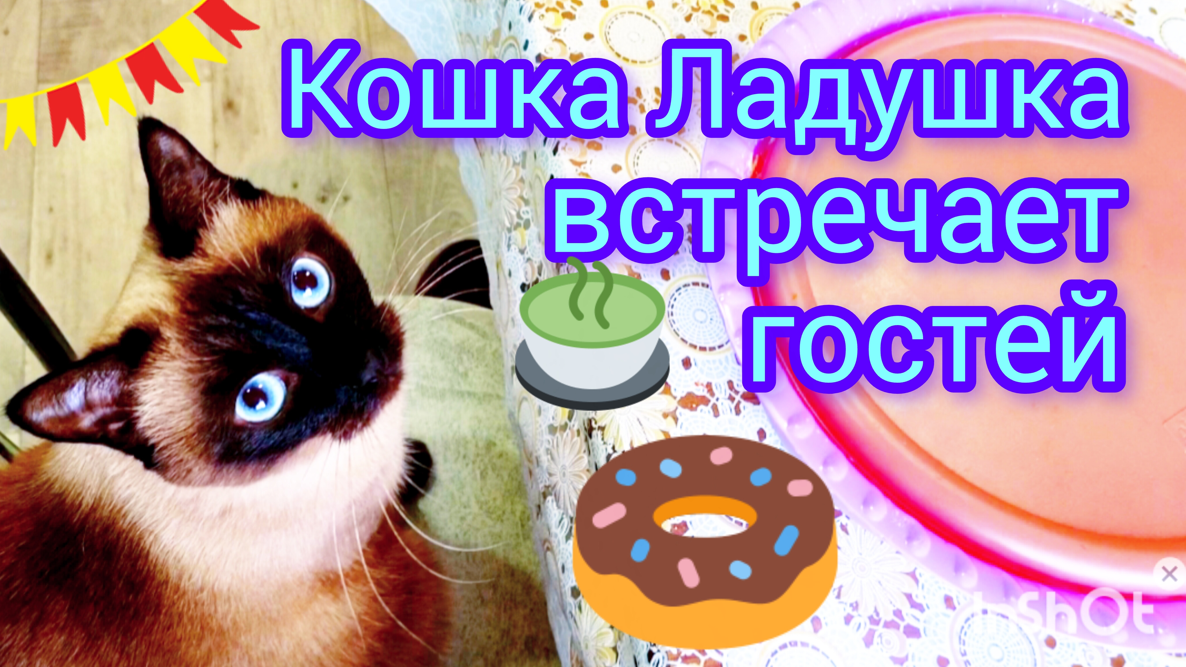 Смешная🐱кошка😂Ладушка #прикольныекотики #смешныекоты #cat's
