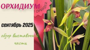 Орхидиум осень 2025. Обзор выставочной части 🌸😍🔥 #орхидиум2025 #orchidium #орхидиум