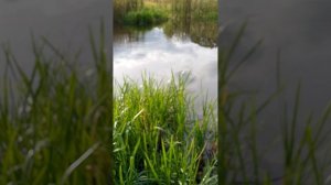 рыбалка на донховке