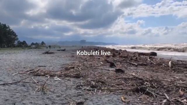 20.09.2025 дрова на зиму Кобулети Аджария Грузия видео из группы Kobuleti Live в телеграм