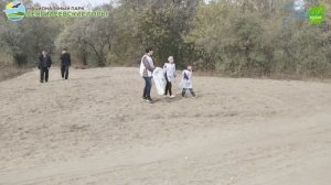 Вчера сотрудники национального парка присоединились к Всероссийскому экологическому субботнику, орга