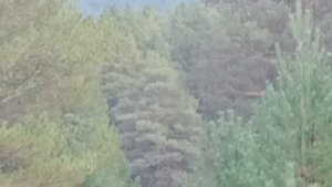 23. 2 Вторая гора (726 метров). 5 сентября 2025 года.