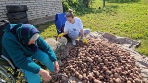 Наша свобода! Белорусская деревня рядом с Польшей. Своя бульба, арбузы, креветки, мидии и т. д.