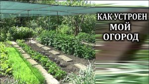 Обзор на мой огород