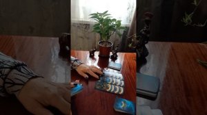 Таро.В чём ваша сила.