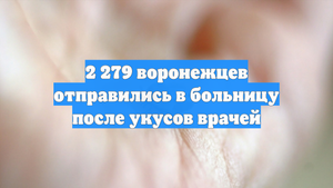 2 279 воронежцев отправились в больницу после укусов врачей