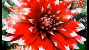 Загра Гасайниева (Алибекова) "Горянке"