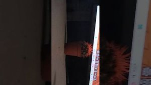 ОБНОВА ВЫРАСТИ САД 🥳