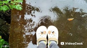 🍂🎶СНОВА ОСЕНЬ...///🌧️ Моменты сентябрьского дождливого дня 🍁)