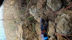 petal_20250920_184113.mp4