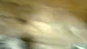 Голуби детства #3