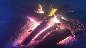 У костерка 🔥: возрождение фашизма в Европе уже не метафора. Прокси-фашизм, ограниченный фашизм 😱