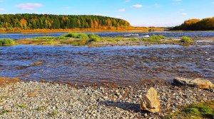 Устье реки Ухты и река Ижма