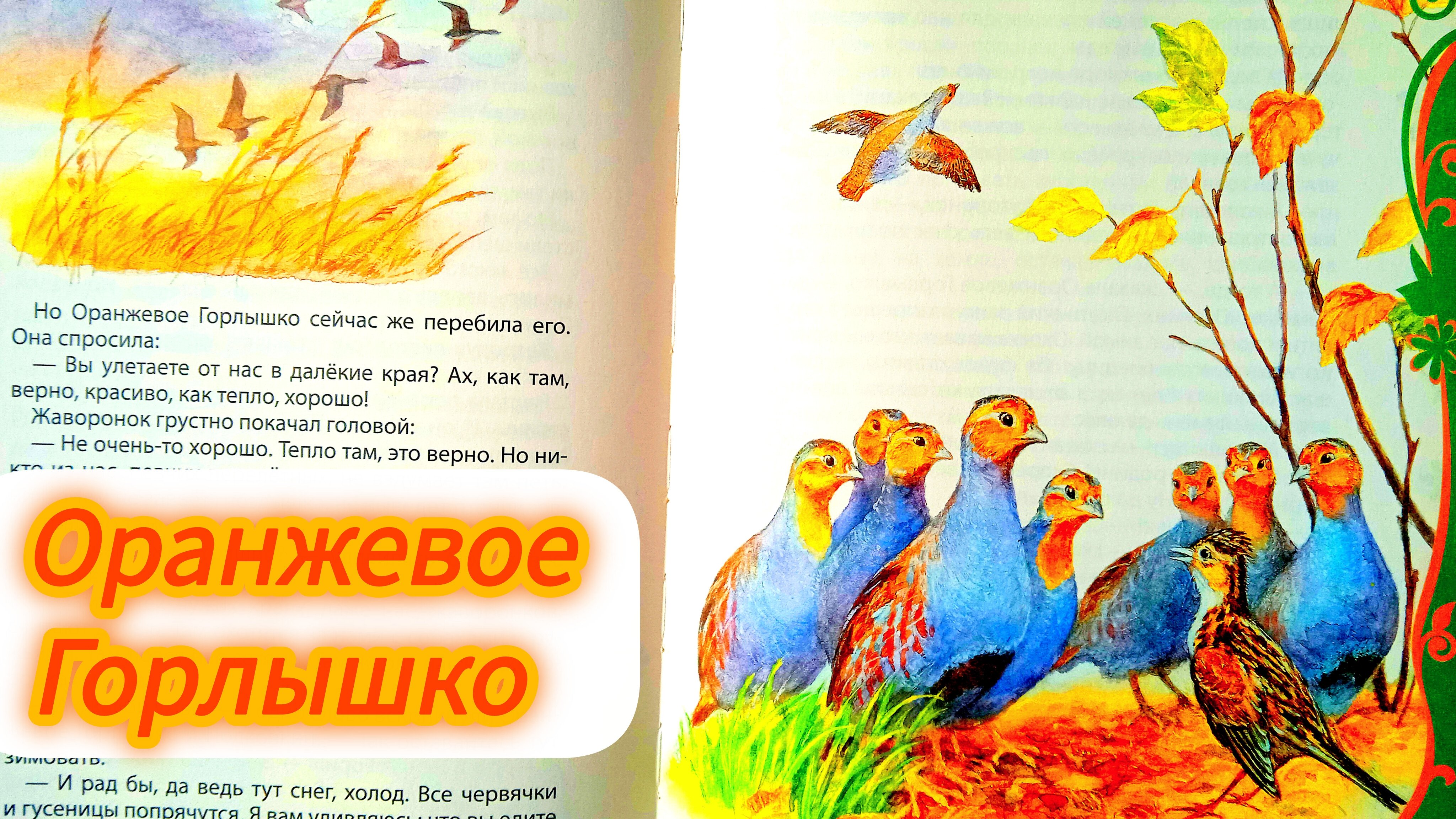 ОРАНЖЕВОЕ ГОРЛЫШКО. В. Бианки