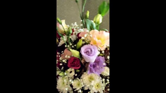 Поздравление с Днем Рождения смотреть онлайн