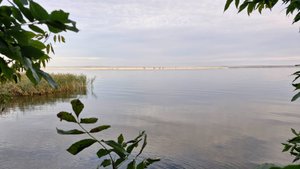 Последние выходные в Саратове, скоро снова в СПб...