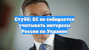 Стубб: ЕС не собирается учитывать интересы России по Украине