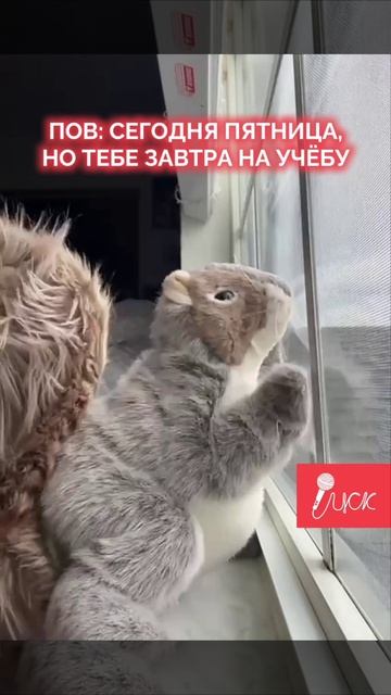 Всем выходных #shorts