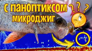Окунь на микроджиг в паноптикс. Как и Зачем?