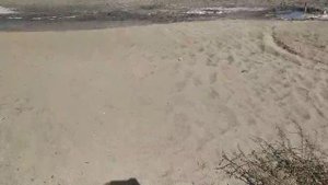 Прибрежное. Грязь. Озеро  Сасык-Сиваш в жару. 17.09.25. Между Саками и Евпаторией.