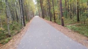 Парк Сайма Сургут 20250916065350