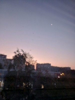 обновление вырасти сада обнова вырасти