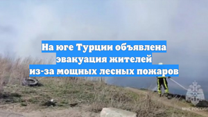 На юге Турции объявлена эвакуация жителей из-за мощных лесных пожаров