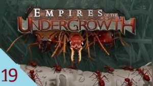 Empires of the Undergrowth19