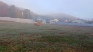 Язык. Лилу. Сюжет