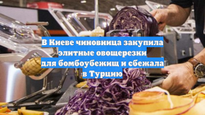 В Киеве чиновница закупила элитные овощерезки для бомбоубежищ и сбежала в Турцию