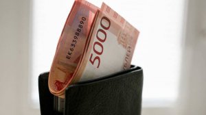 Казна теряет 1,5 трлн рублей из-за неэффективных субсидий и госпрограмм