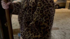 фрагменты из жизни в петербурге: saro, анатомический эрмитаж, animals. видео обыкновенное.