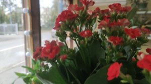 Осенне🍂-букетная 💐красота.Это вам не тушёО_О_О_нка🤭🤦😂.