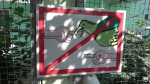 Натухаевская.Парк живой природы ДоДо