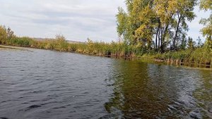 О вреде курения