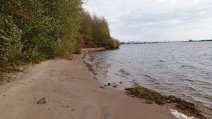 VID_20230919_115439