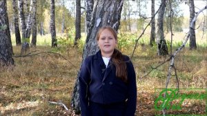 С. Есенин "Ночь"