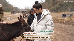 закадровые 🌖🐈🎬