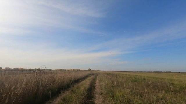 В объятьях осени.😊