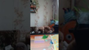 1000007272.mp4
