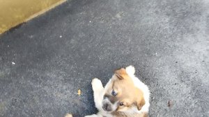 заразик снимают видео на улице часть 3